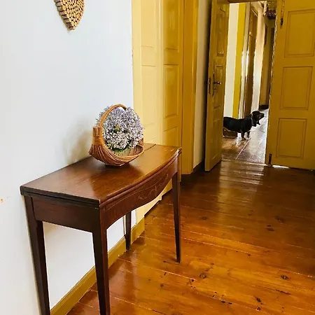 Privatunterkunft Casa Do Avo Sampaio